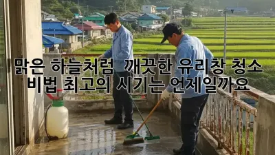 맑은 하늘처럼 ✨ 깨끗한 유리창 청소 비법! 최고의 시기는 언제일까요?